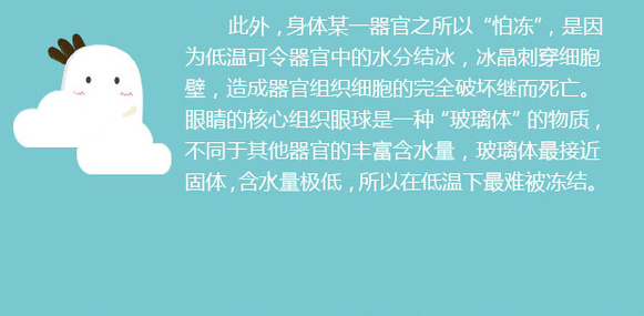 告訴你個“小秘密”：為什么眼睛不怕冷？