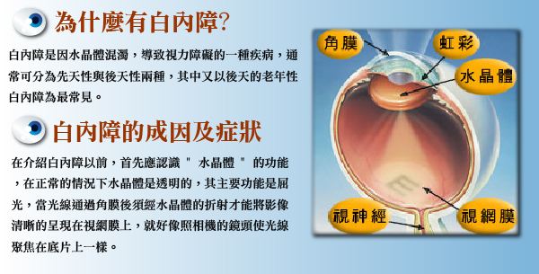 多方面認識白內障，莫讓失明把心傷